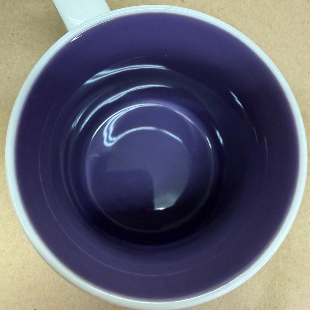 Starbucks Global Icon Collector Series Puerto Vallarta Mug-2016